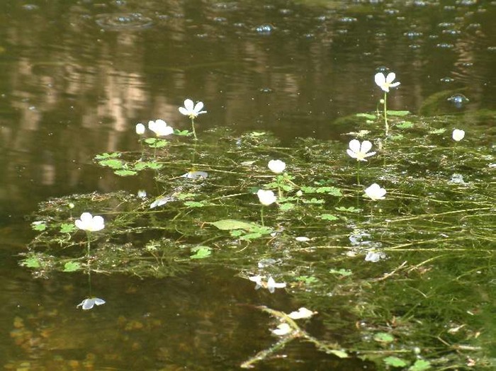 aabDSCF0153