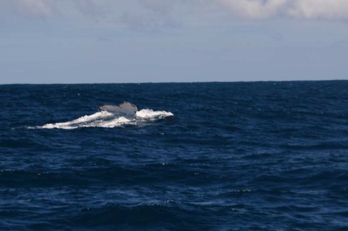 aDSC03967