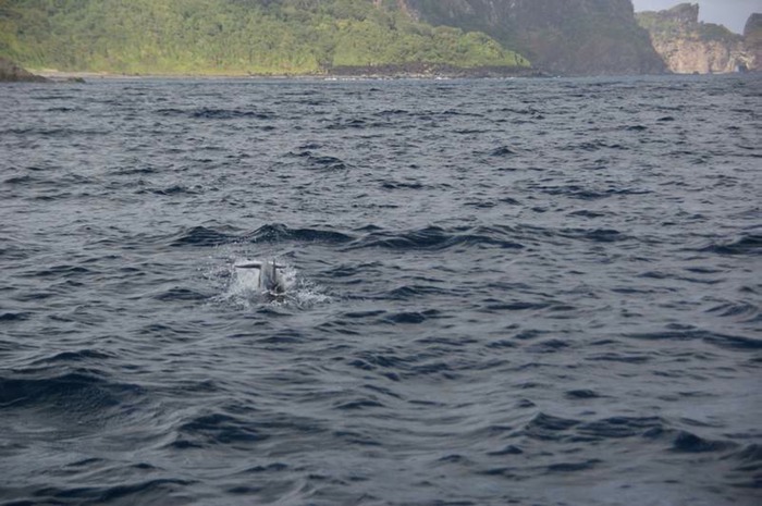 aDSC04277