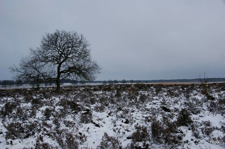 DSC05691
